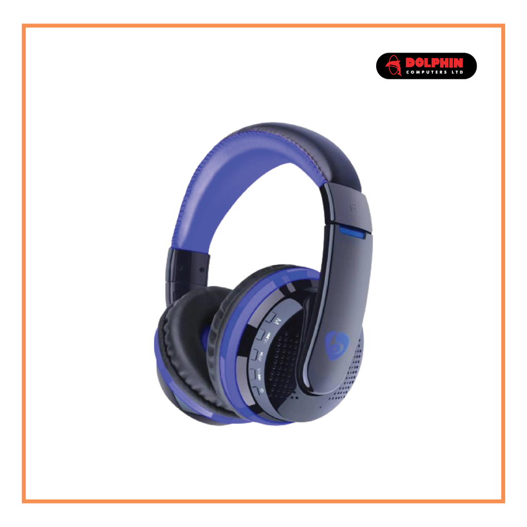 DELUX HEADPHONE DH-750