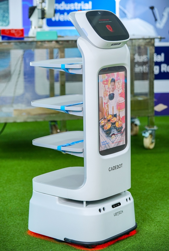 Cadebot (Delivery Robot)