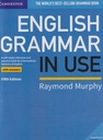 English Grammer In Use (Raymond )