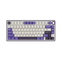 Royal Kludge RK R75 RGB Hot-Swappable Mechanical Keyboard